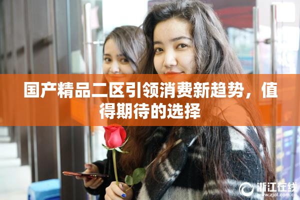 国产精品二区引领消费新趋势，值得期待的选择