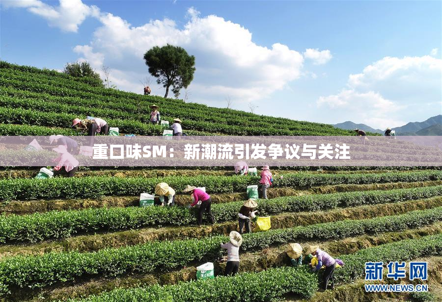 重口味SM：新潮流引发争议与关注