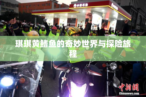 琪琪黄鳍鱼的奇妙世界与探险旅程