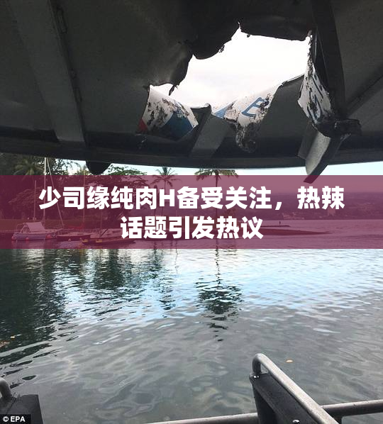 少司缘纯肉H备受关注，热辣话题引发热议