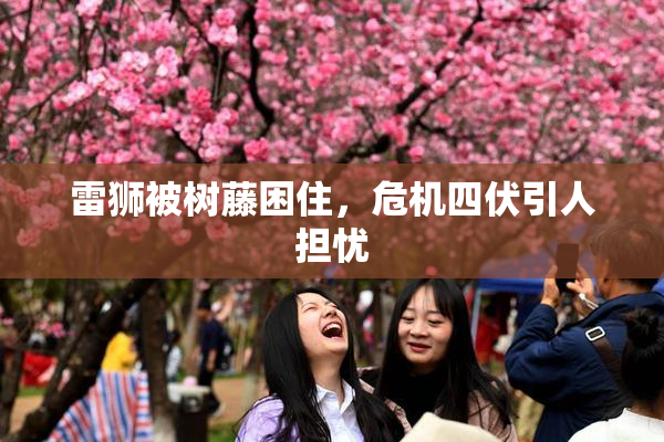 雷狮被树藤困住，危机四伏引人担忧
