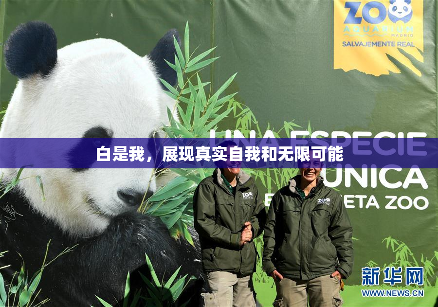 白是我，展现真实自我和无限可能