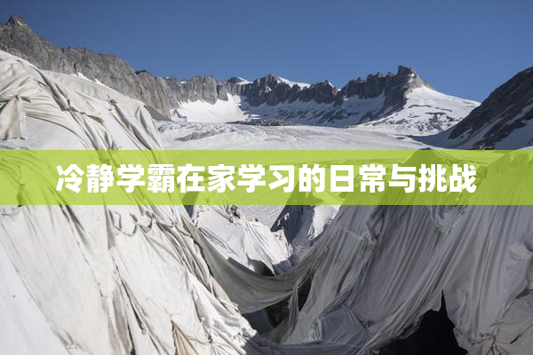 冷静学霸在家学习的日常与挑战