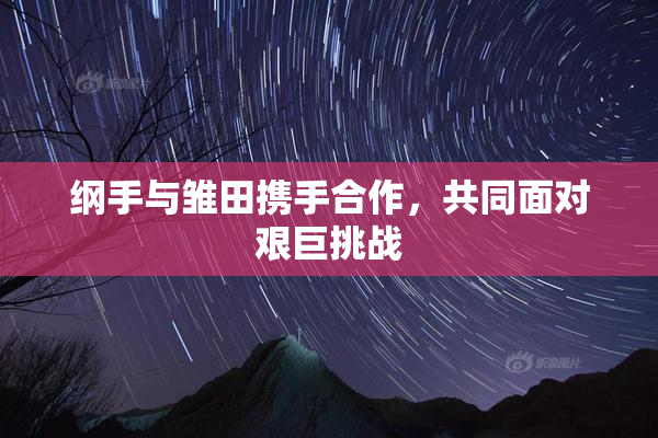 纲手与雏田携手合作，共同面对艰巨挑战