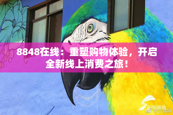 8848在线：重塑购物体验，开启全新线上消费之旅！