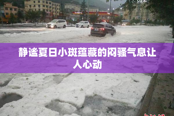 静谧夏日小斑蕴藏的闷骚气息让人心动