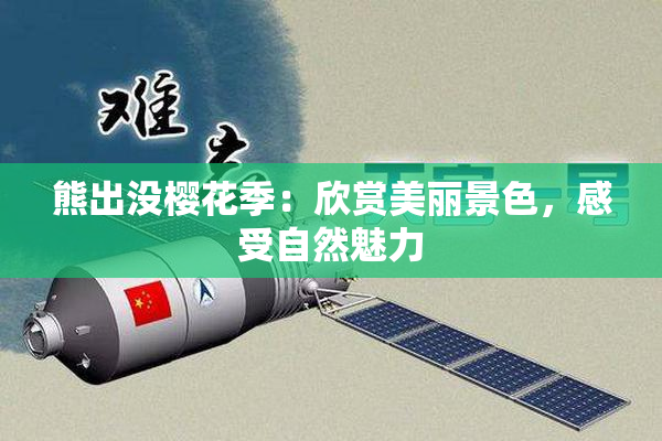 熊出没樱花季：欣赏美丽景色，感受自然魅力