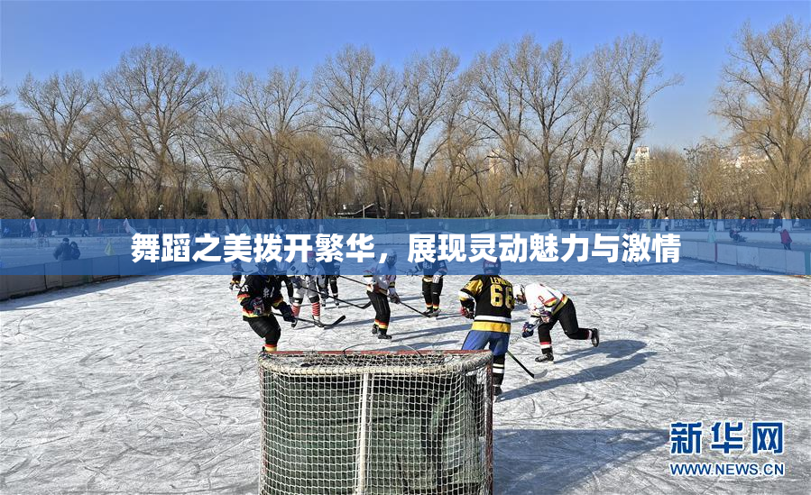 舞蹈之美拨开繁华，展现灵动魅力与激情