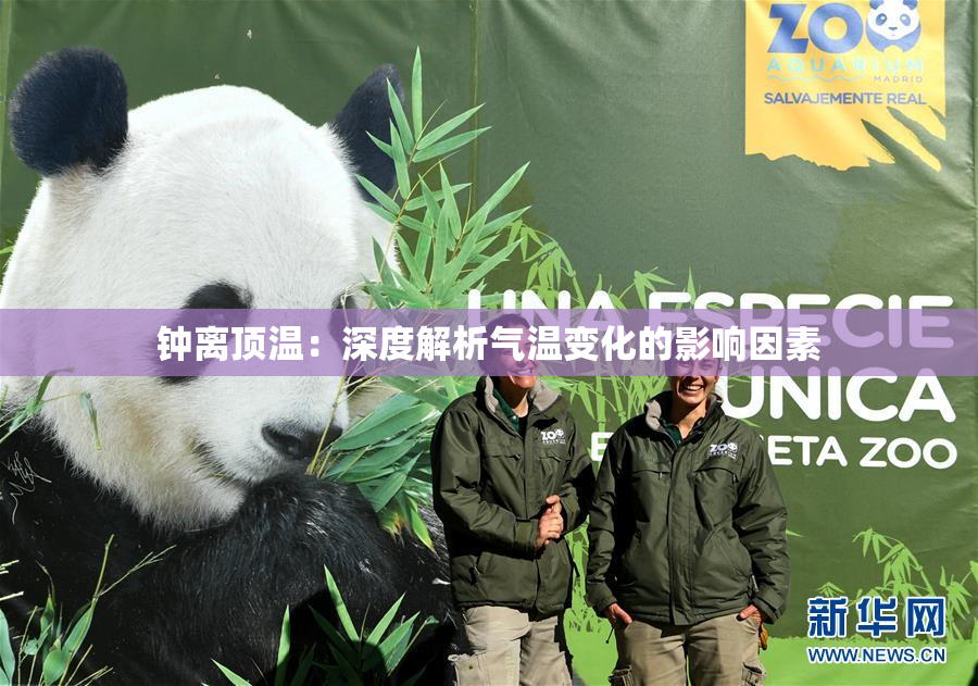 钟离顶温：深度解析气温变化的影响因素