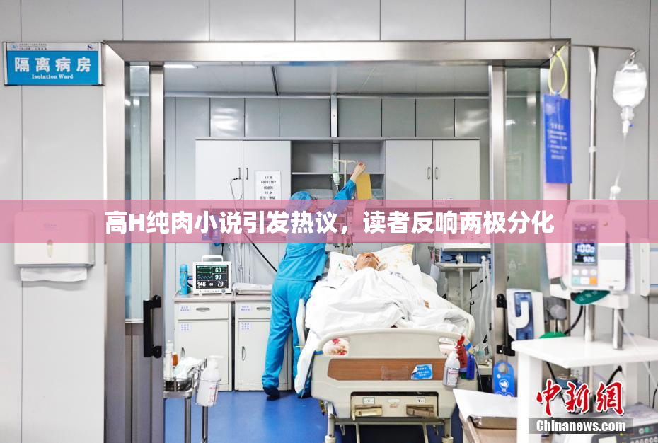 高H纯肉小说引发热议，读者反响两极分化