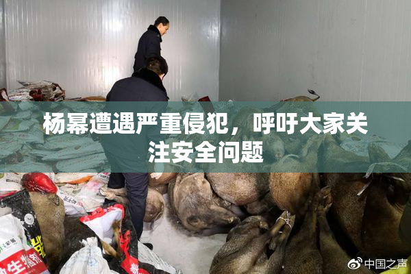 杨幂遭遇严重侵犯，呼吁大家关注安全问题