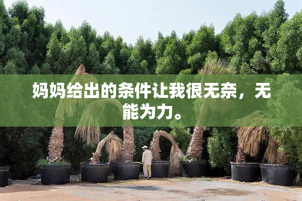 妈妈给出的条件让我很无奈，无能为力。