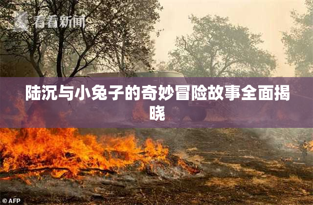 陆沉与小兔子的奇妙冒险故事全面揭晓