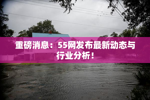 重磅消息：55网发布最新动态与行业分析！