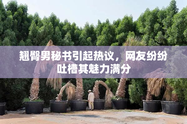 翘臀男秘书引起热议，网友纷纷吐槽其魅力满分