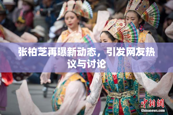 张柏芝再曝新动态，引发网友热议与讨论