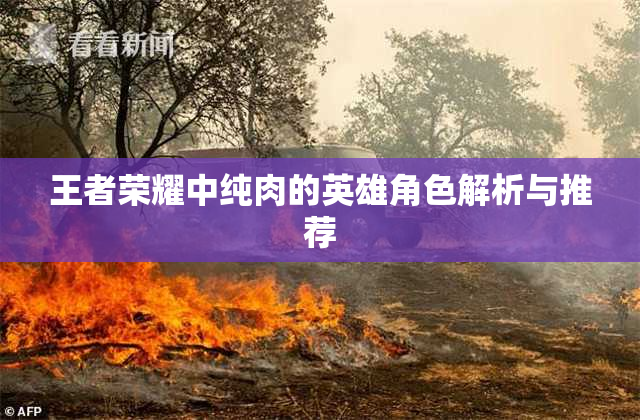 王者荣耀中纯肉的英雄角色解析与推荐