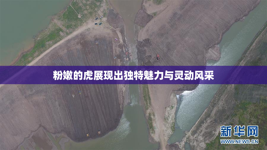 粉嫩的虎展现出独特魅力与灵动风采