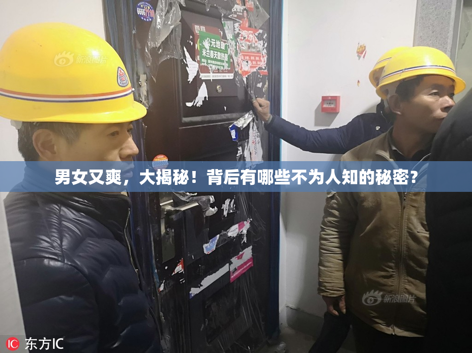 男女又爽，大揭秘！背后有哪些不为人知的秘密？