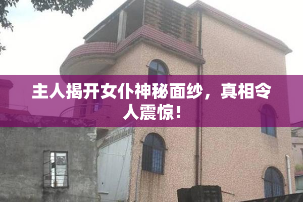 主人揭开女仆神秘面纱，真相令人震惊！