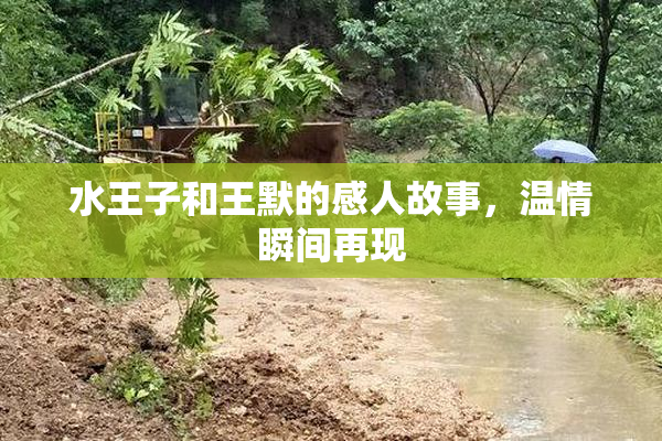 水王子和王默的感人故事，温情瞬间再现