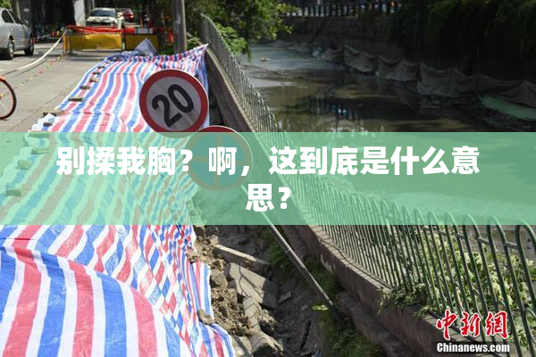 别揉我胸？啊，这到底是什么意思？