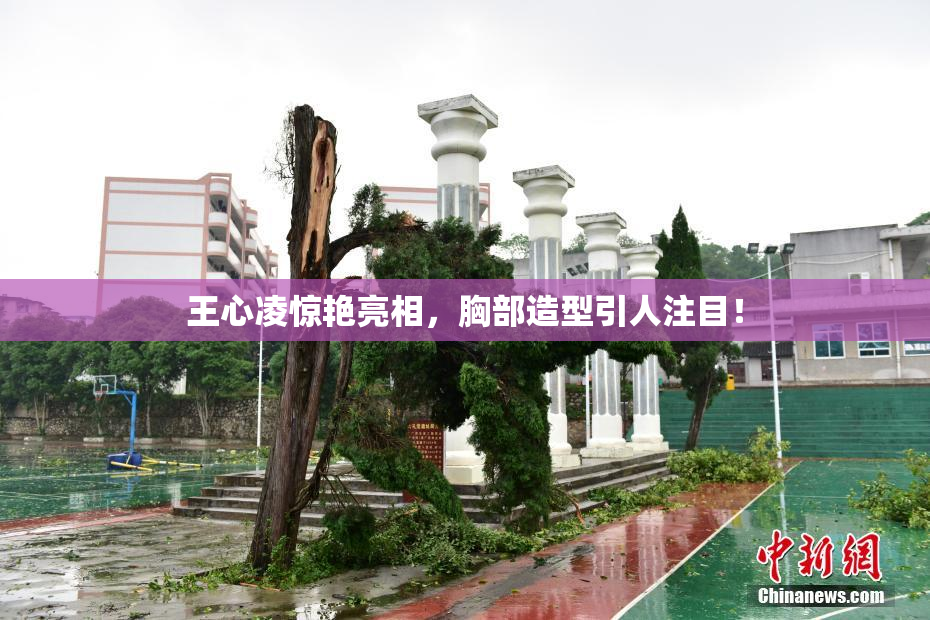 王心凌惊艳亮相，胸部造型引人注目！