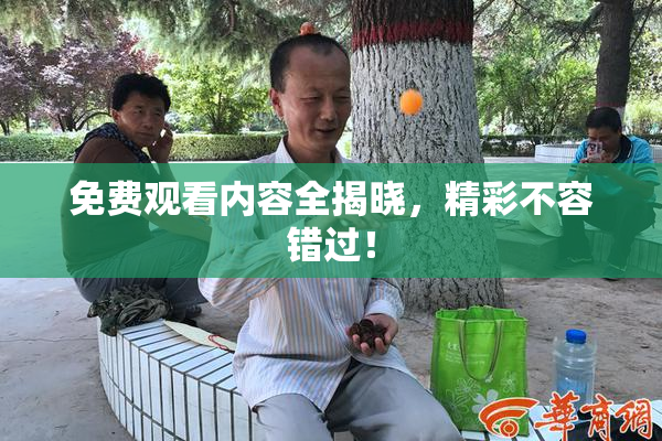 免费观看内容全揭晓，精彩不容错过！