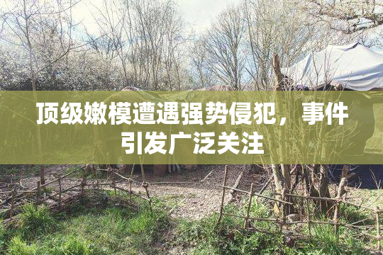 顶级嫩模遭遇强势侵犯，事件引发广泛关注