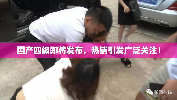 国产四级即将发布，热销引发广泛关注！