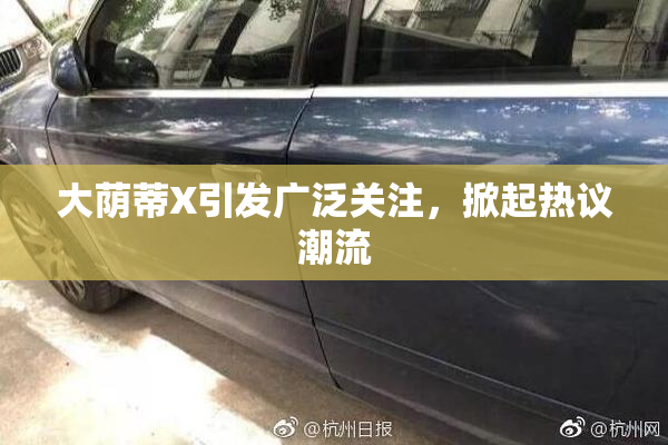 大荫蒂X引发广泛关注，掀起热议潮流