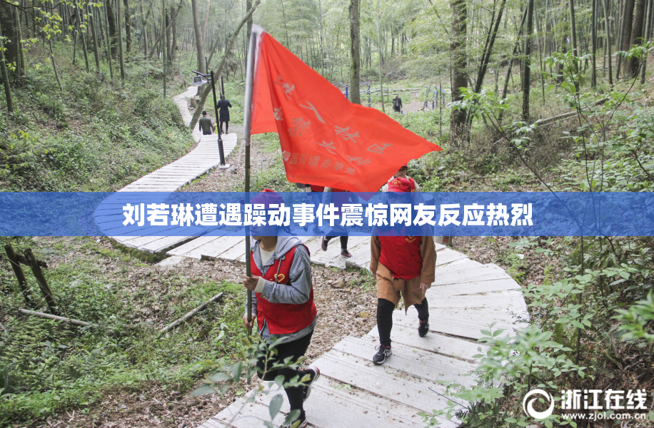 刘若琳遭遇躁动事件震惊网友反应热烈