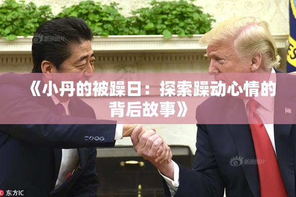 《小丹的被躁日：探索躁动心情的背后故事》