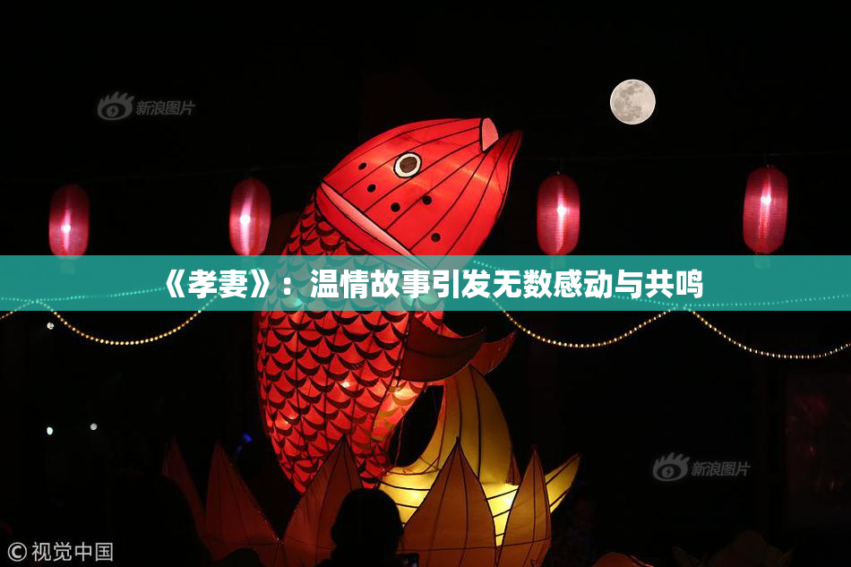 《孝妻》：温情故事引发无数感动与共鸣