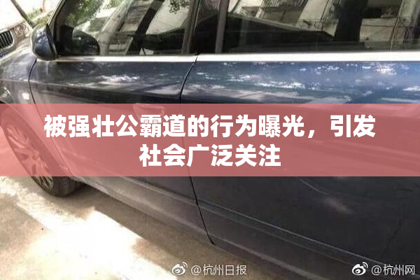 被强壮公霸道的行为曝光，引发社会广泛关注
