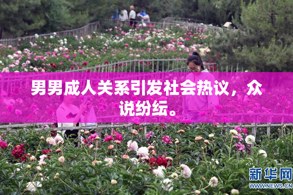 男男成人关系引发社会热议，众说纷纭。