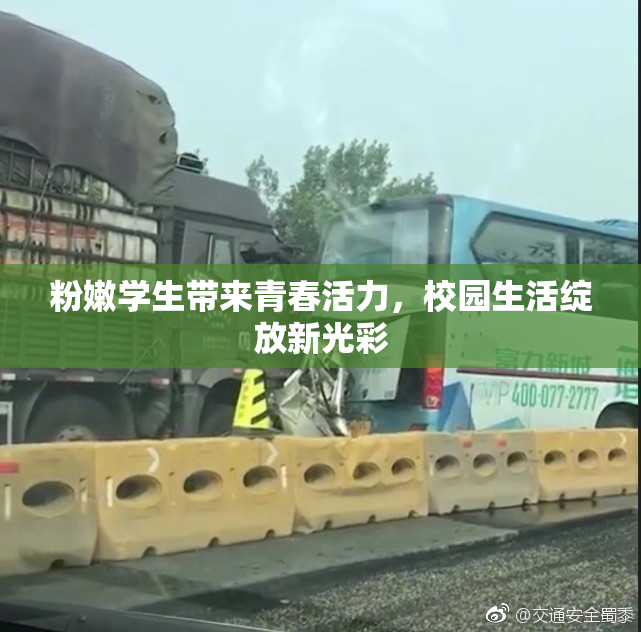 粉嫩学生带来青春活力，校园生活绽放新光彩
