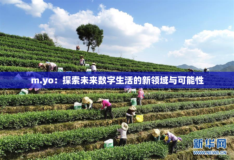 m.yo：探索未来数字生活的新领域与可能性