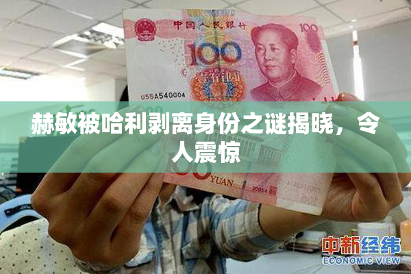 赫敏被哈利剥离身份之谜揭晓，令人震惊