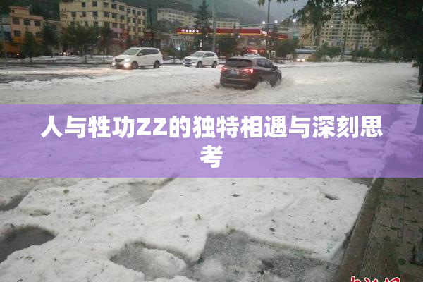 人与牲功ZZ的独特相遇与深刻思考