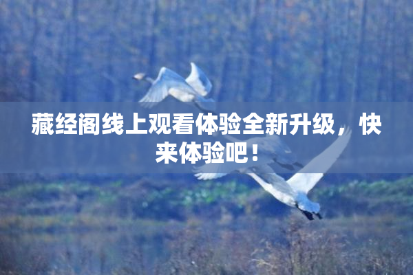 藏经阁线上观看体验全新升级，快来体验吧！