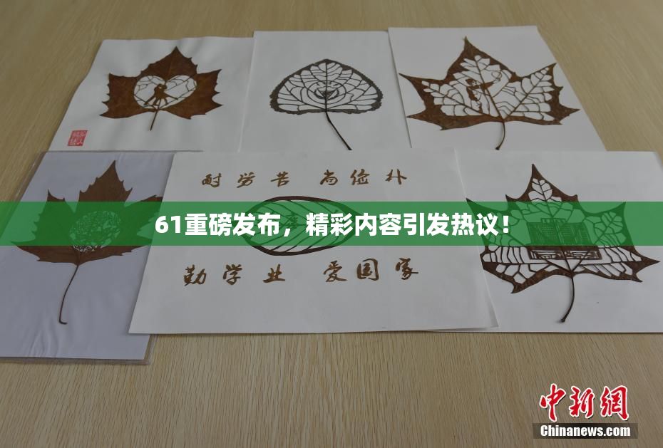 61重磅发布，精彩内容引发热议！