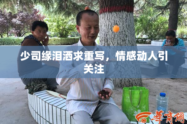 少司缘泪洒求重写，情感动人引关注
