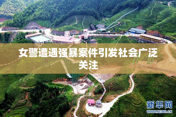 女警遭遇强暴案件引发社会广泛关注
