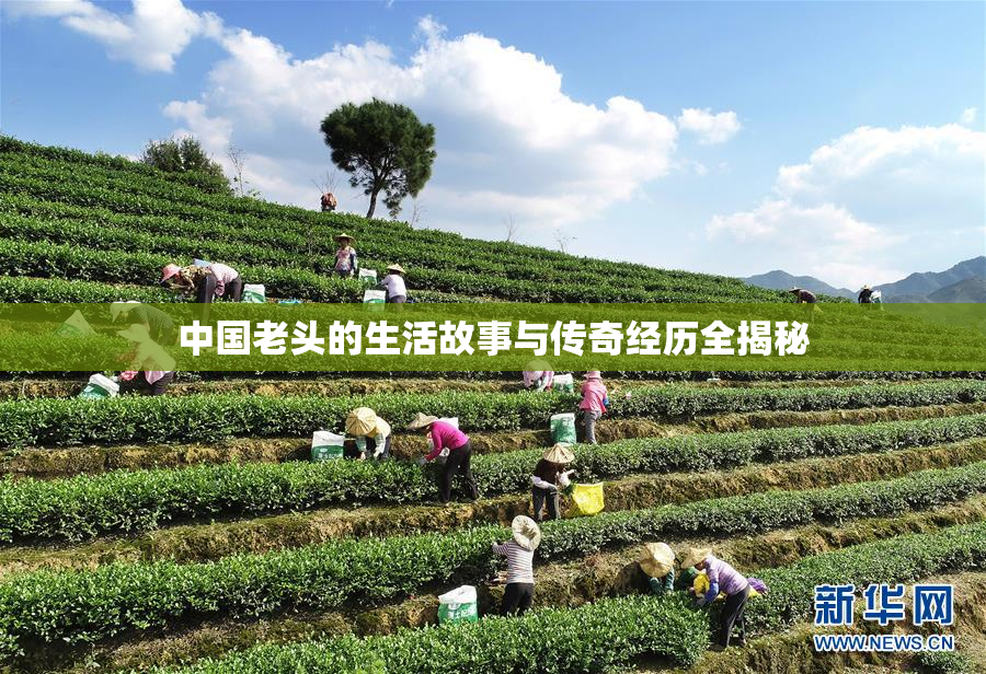 中国老头的生活故事与传奇经历全揭秘