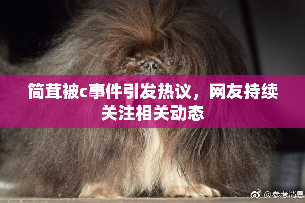 简茸被c事件引发热议，网友持续关注相关动态