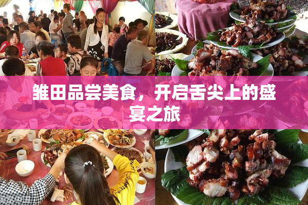雏田品尝美食，开启舌尖上的盛宴之旅