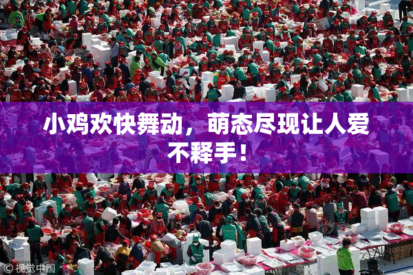 小鸡欢快舞动，萌态尽现让人爱不释手！