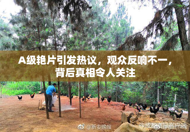 A级艳片引发热议，观众反响不一，背后真相令人关注
