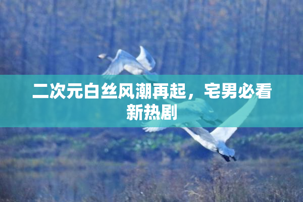 二次元白丝风潮再起，宅男必看新热剧